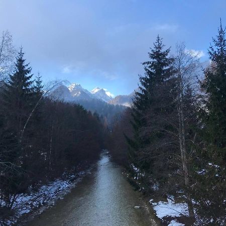Auredius Deluxe Apartment Kranjska Gora Buitenkant foto